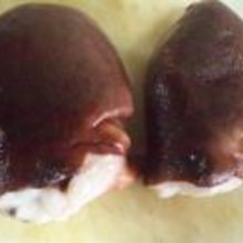 タコだって頭を使う レシピ 作り方 By あとぶー 楽天レシピ タコだって頭を使う レシピ 作り方 By あとぶー 楽天レシピ